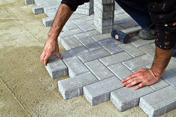 Best Driveway Paving Near Me  in Edmonston, MD